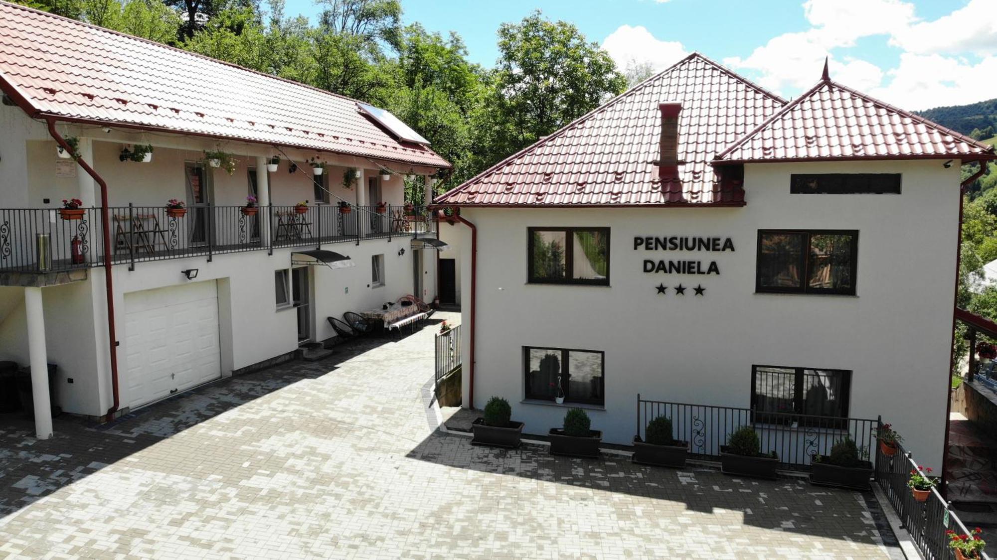 מויסי Pensiunea Daniela מראה חיצוני תמונה